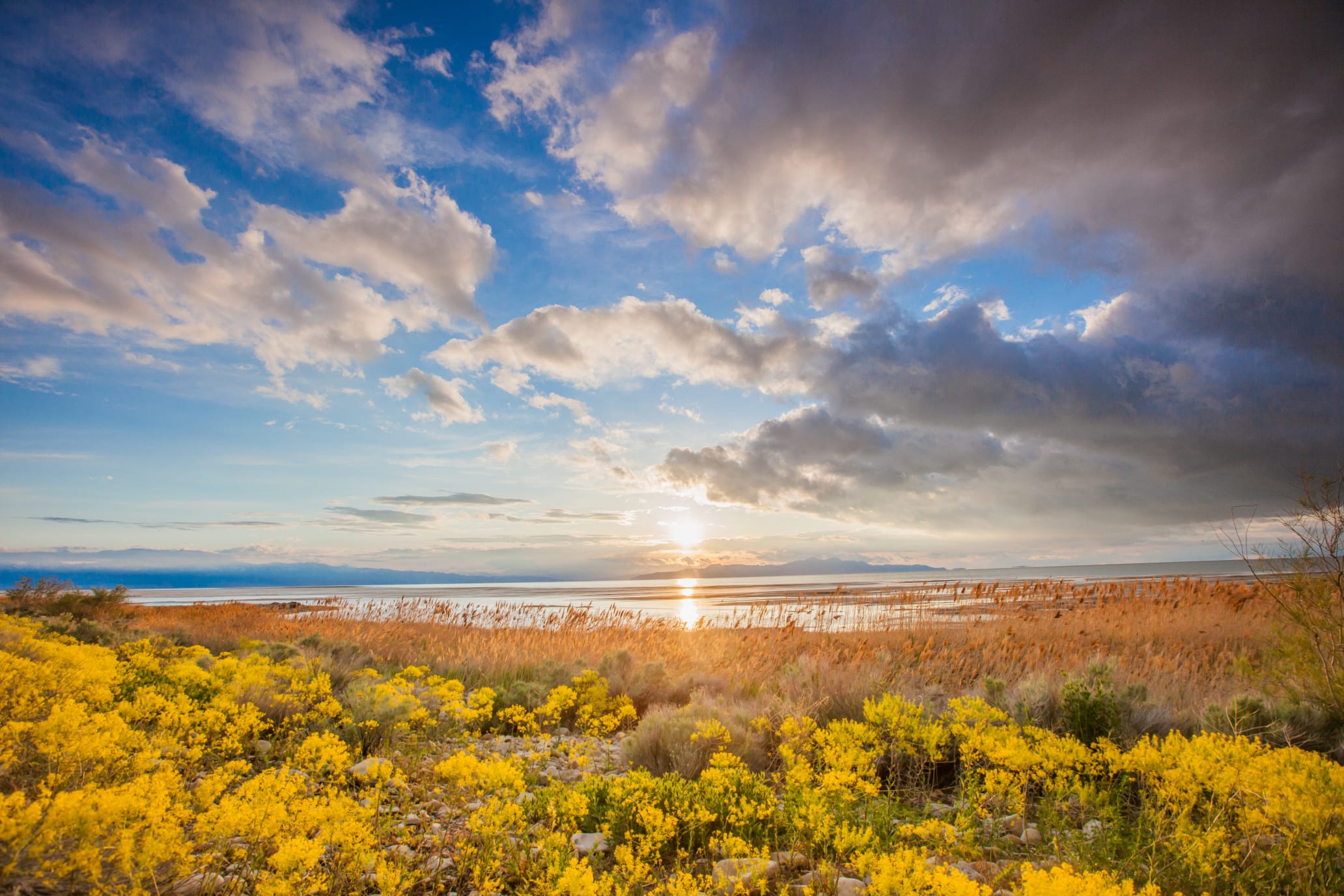 clouds and flowers at the Great Salt Lake in Utah