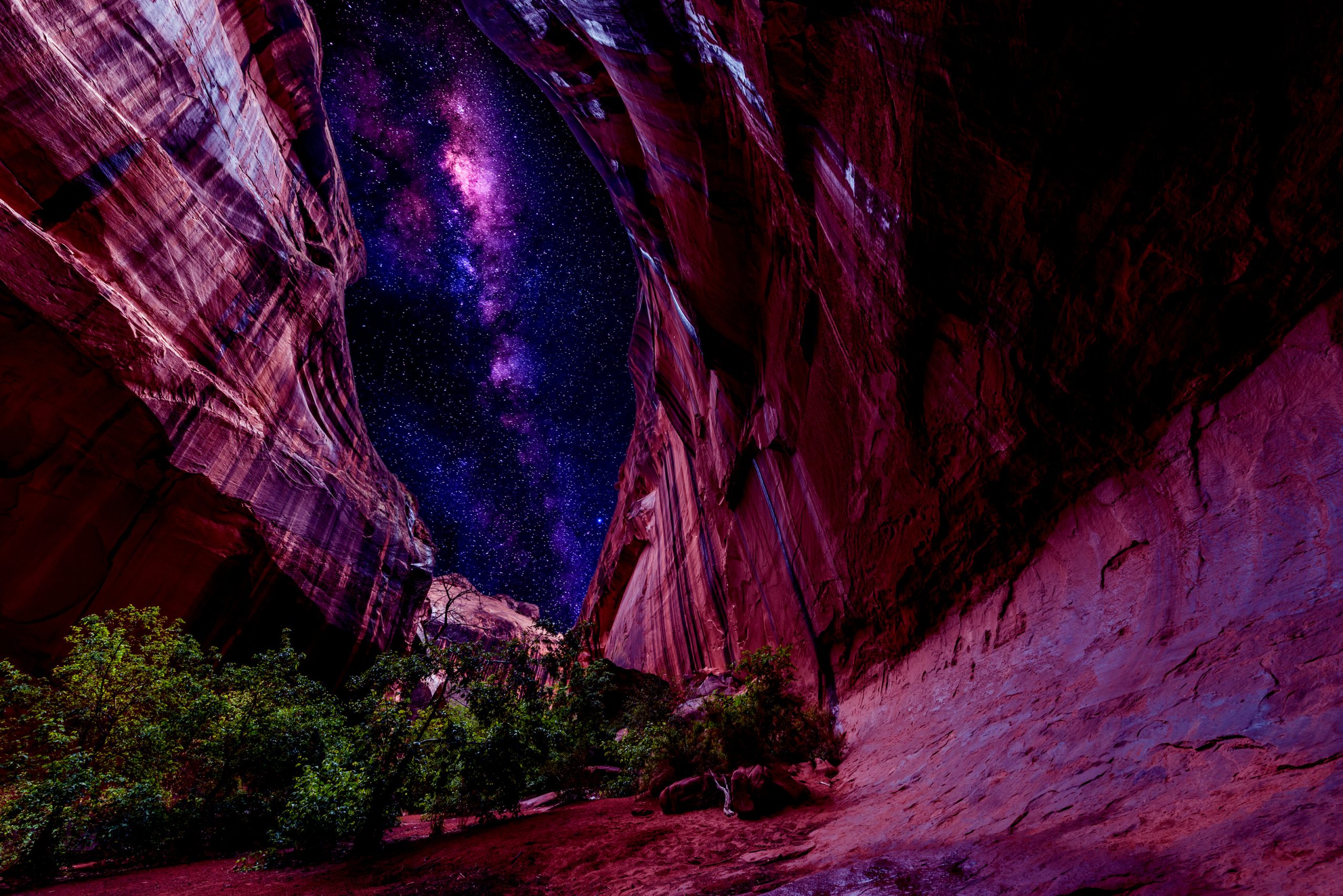 Starry night in a mountain canyon